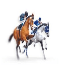 casinoonlinecanadian.net virtual horse racing